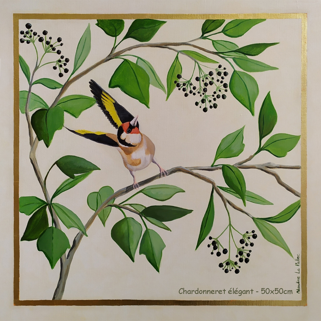 chardonneret_elegant_blandine_le_pallec Tableau représentant un chardonneret élégant peint à l'acrylique sur toile format 50x50cm. Filets composés de feuilles d'or 22 carats.